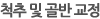 척추 및 골반 교정