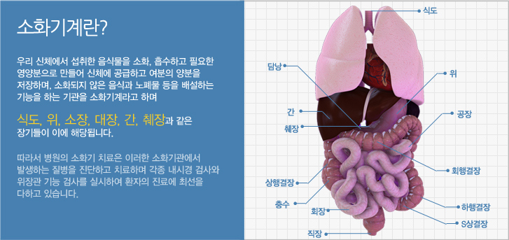 우리 신체에서 섭취한 음식물을 소화, 흡수하고 필요한 영양분으로 만들어 신체에 공급하고 여분의 양분을 저장하며, 소화되지 않은 음식과 노폐물 등을 배설하는 기능을 하는 기관을 소화기계라고 하며 식도, 위, 소장, 대장, 간, 췌장과 같은 장기들이 이에 해당됩니다. 따라서 병원의 소화기 치료은 이러한 소화기관에서 발생하는 질병을 진단하고 치료하며 각종 내시경 검사와 위장관 기능 검사를 실시하여 환자의 진료에 최선을 다하고 있습니다. 