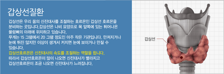 갑상선질환이란?-갑상선은 우리 몸의 신진대사를 조절하는 호르몬인 갑상선 호르몬을 분비하는 곳입니다.갑상선은 나비 요양으로 목 앞쪽에 있는 튀어나온 물렁뼈의 아래에 위치하고 있습니다. 무게는 15 그램에서 20 그램 정도인 아주 작은 기관입니다. 만져지거나 눈에 뛰진 않지만 이상이 생겨서 커지면 눈에 보이거나 만질 수 있습니다.갑상선호르몬은 신진대사의 속도를 조절하는 역할을 합니다. 따라서 갑상선호르몬이 많이 나오면 신진대사가 빨라지고 갑상선호르몬이 조금 나오면 신진대사가 느려집니다.
