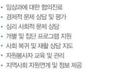 임상과에 대한 협의진료, 경제적 문제 상담 및 평가, 심리 사회적 문제 상담, 개별 및 집단 프로그램 지원, 사회 복귀 및 재활 상담 지도, 자원봉사자 교육 및 관리, 지역사회 자원연계 및 정보 제공 