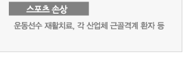 스포츠 손상 : 운동선수 재활치료, 각 산업체 근골격계 환자 등